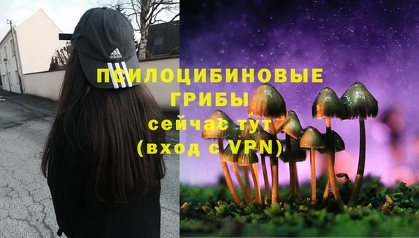 ешки Абдулино