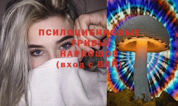 прущий лед Алексин