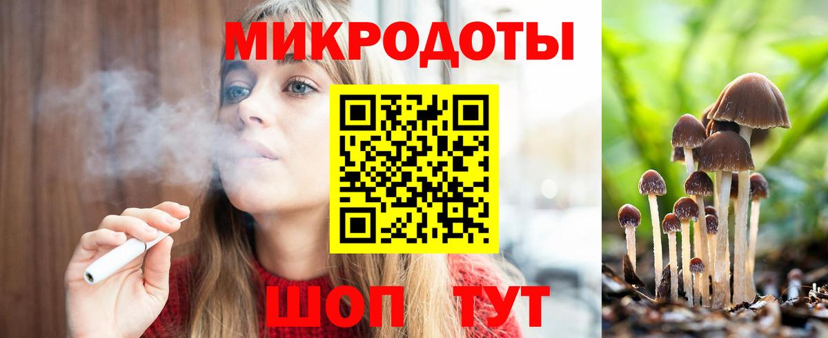 Узловая  Псилоцибиновые грибы Psilocybe  Вход с VPN 