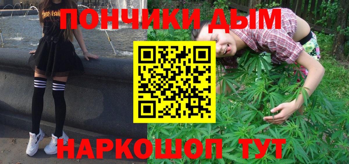 Каннабис OG Kush Узловая
